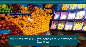 أسعار الفاكهة في الأقصر اليوم الثلاثاء 22 يوليو 2025 والمانجا تبدأ من 40 جنيهاً